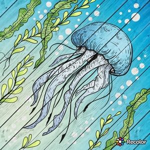 Meet your Posher, Shad